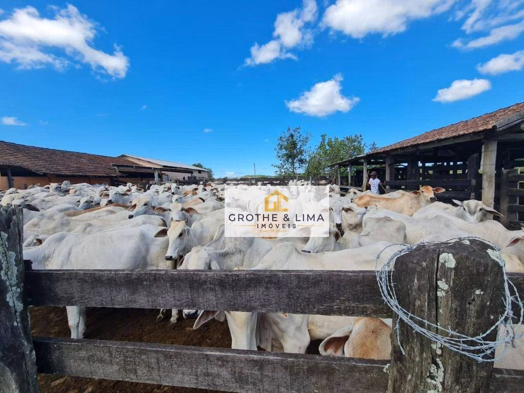 Fazenda de 24 ha em Araruama, RJ