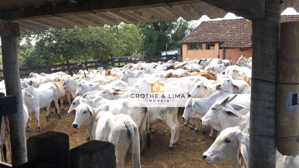 Fazenda de 24 ha em Araruama, RJ