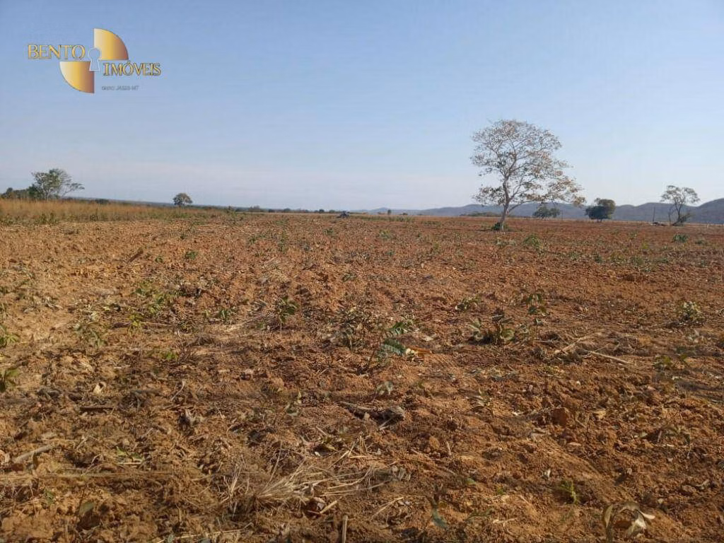 Fazenda de 404 ha em Nobres, MT