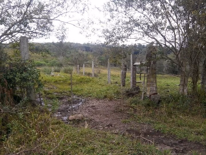 Sítio de 12 ha em Santo Antônio da Patrulha, RS