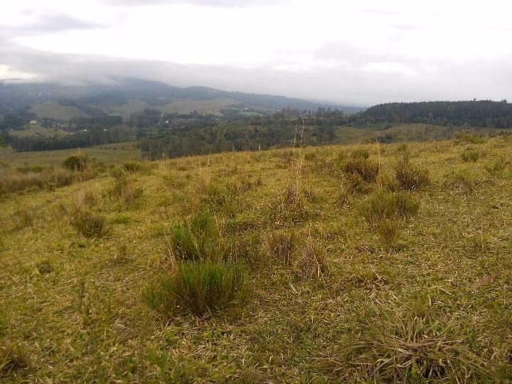 Sítio de 12 ha em Santo Antônio da Patrulha, RS