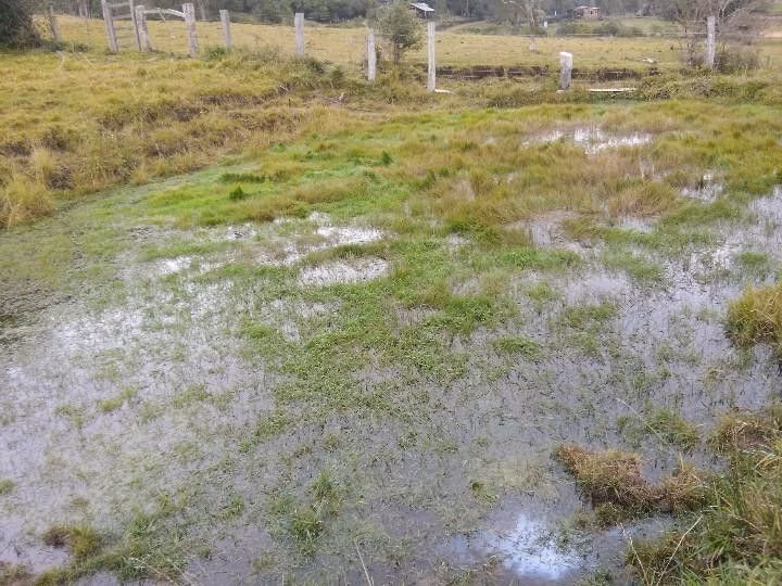 Sítio de 12 ha em Santo Antônio da Patrulha, RS