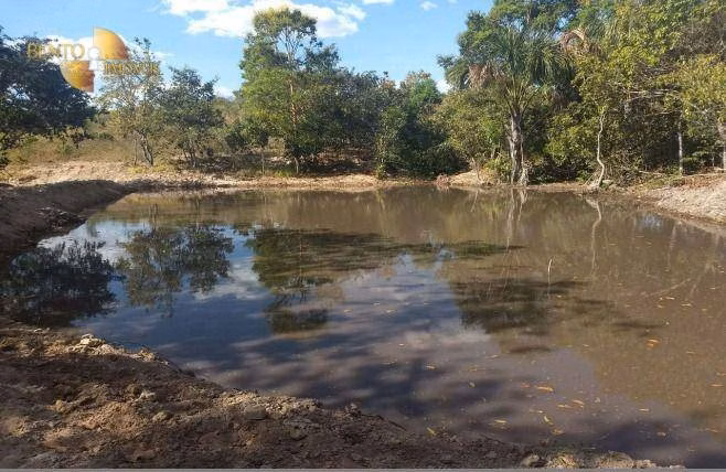 Farm of 2,412 acres in Poxoréu, MT, Brazil