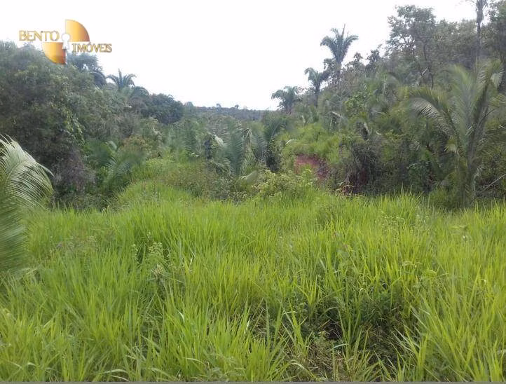 Farm of 2,412 acres in Poxoréu, MT, Brazil