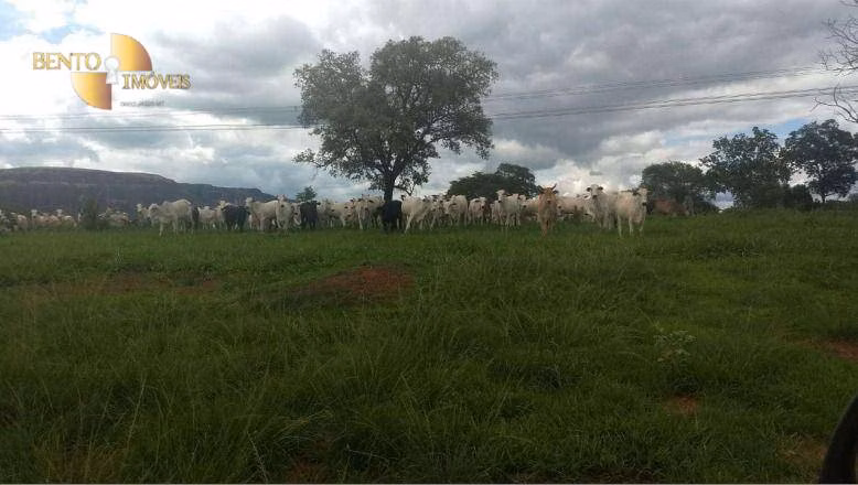 Farm of 2,412 acres in Poxoréu, MT, Brazil