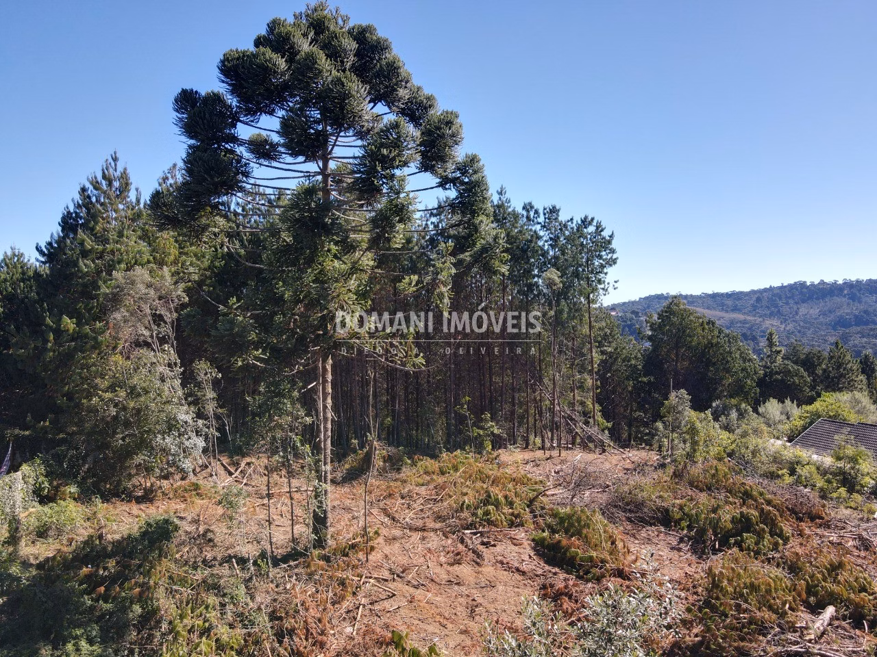 Plot of 2,540 m² in Campos do Jordão, SP, Brazil