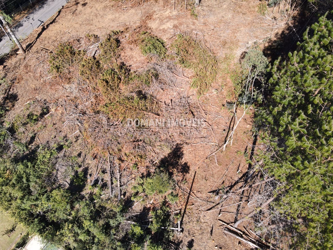 Plot of 2,540 m² in Campos do Jordão, SP, Brazil