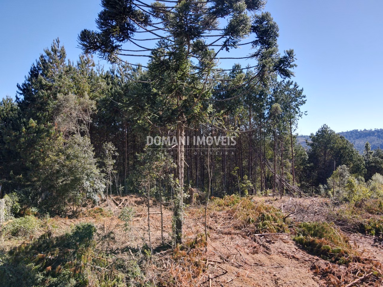 Plot of 2,540 m² in Campos do Jordão, SP, Brazil