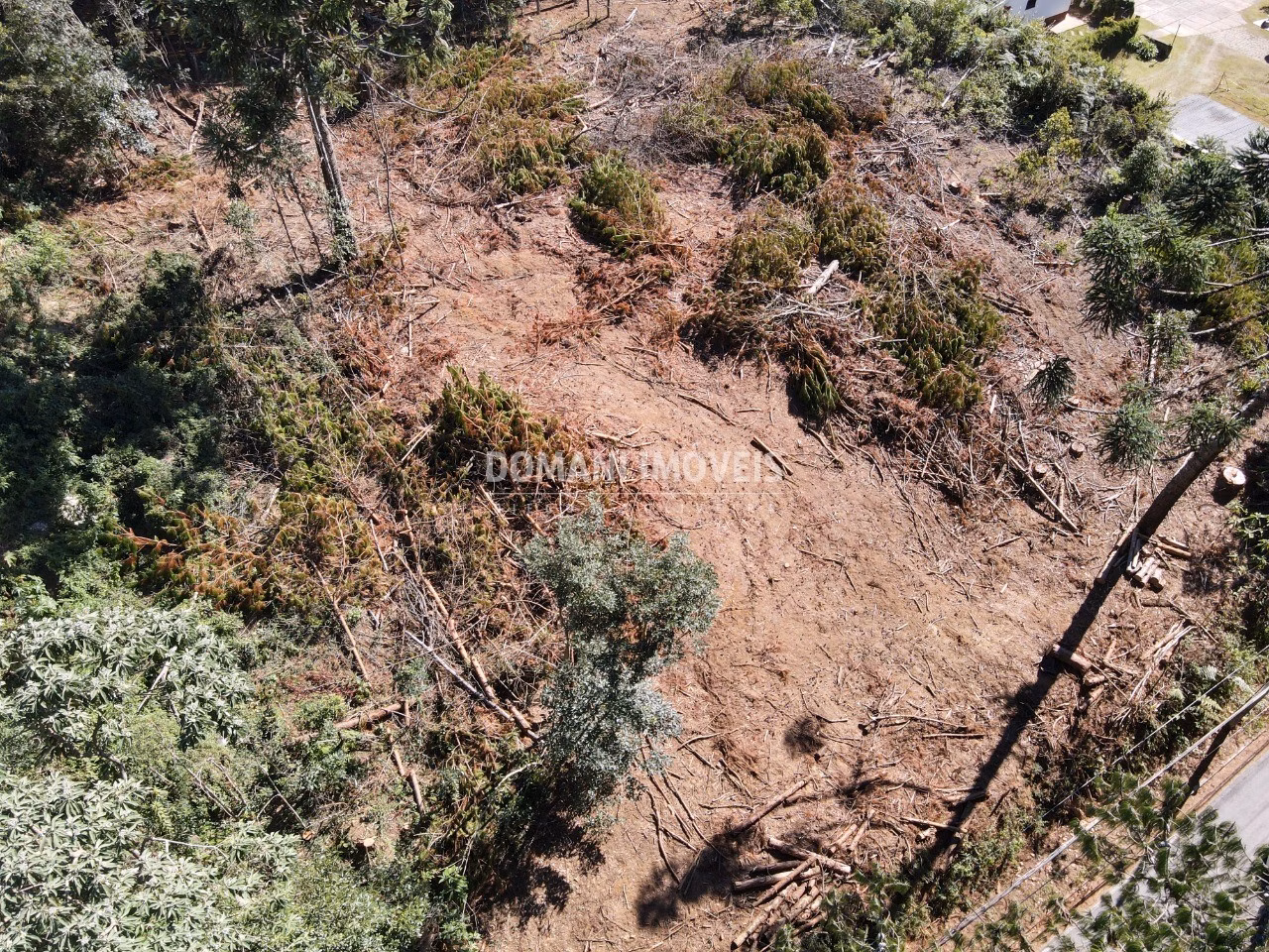 Plot of 2,540 m² in Campos do Jordão, SP, Brazil