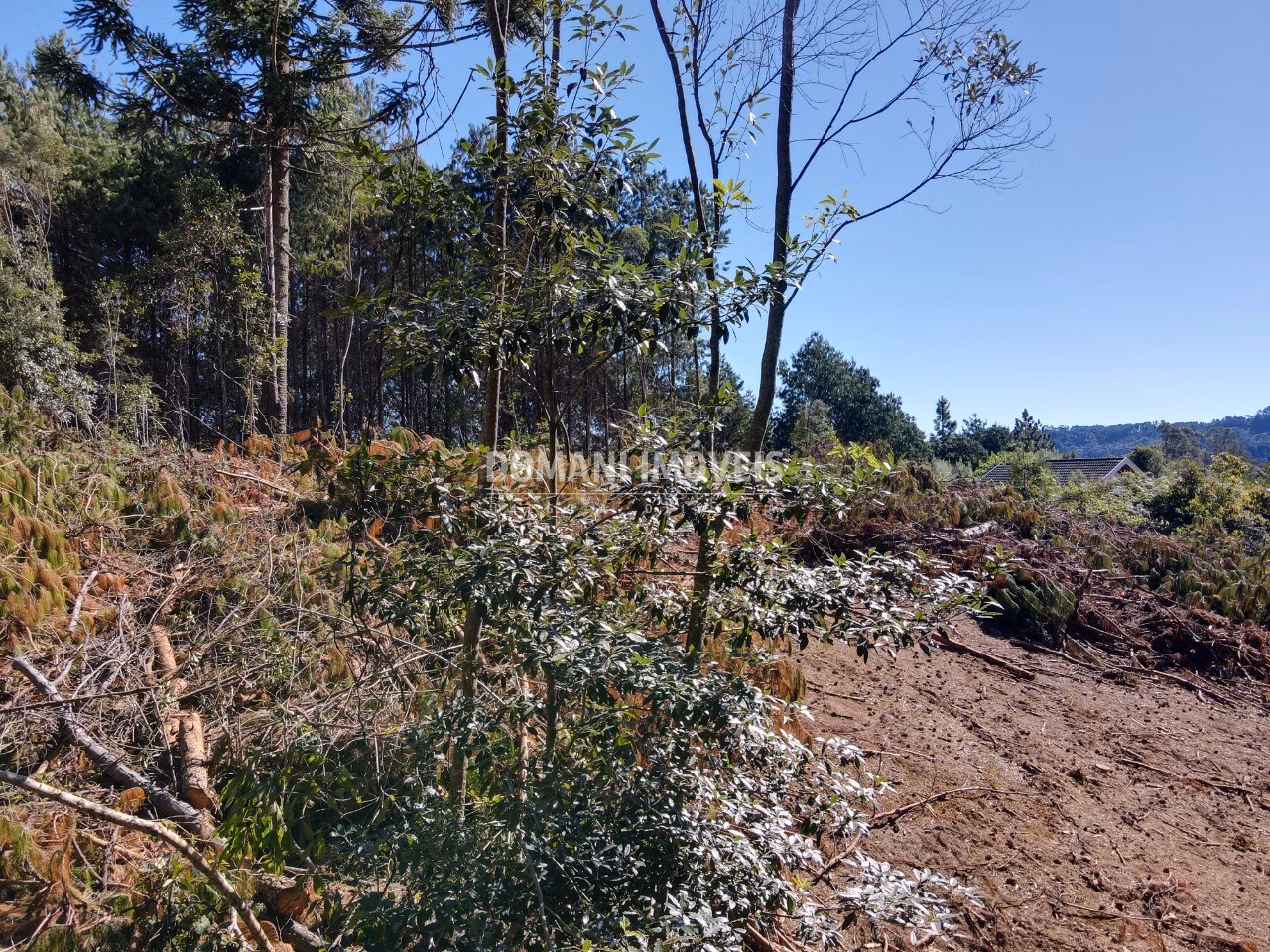Plot of 2,540 m² in Campos do Jordão, SP, Brazil
