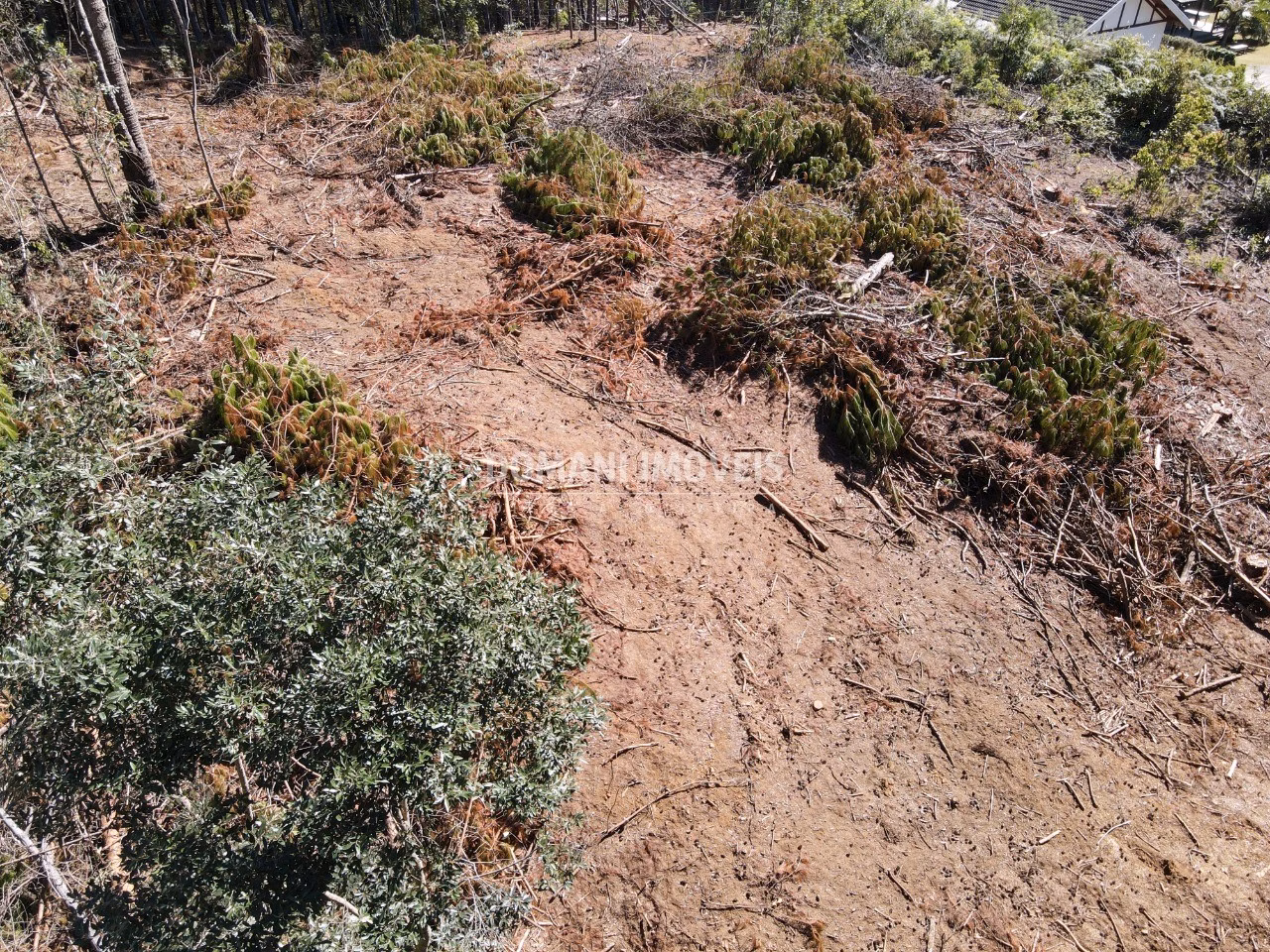 Plot of 2,540 m² in Campos do Jordão, SP, Brazil