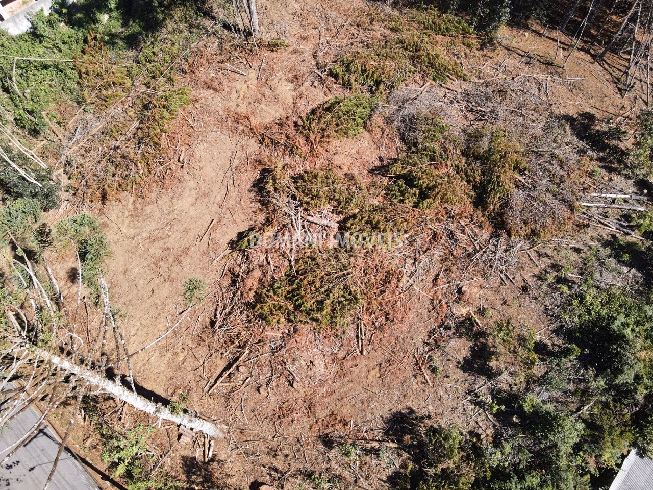 Plot of 2,540 m² in Campos do Jordão, SP, Brazil