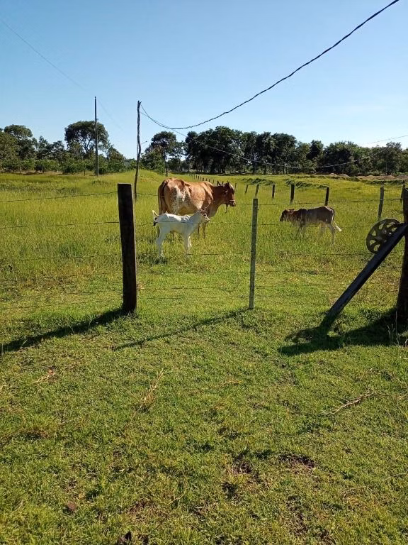 Chácara de 6 ha em Cuiabá, MT