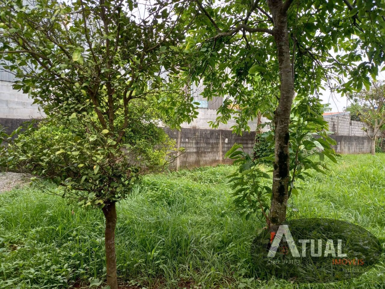 Terreno de 350 m² em Itaquaquecetuba, SP