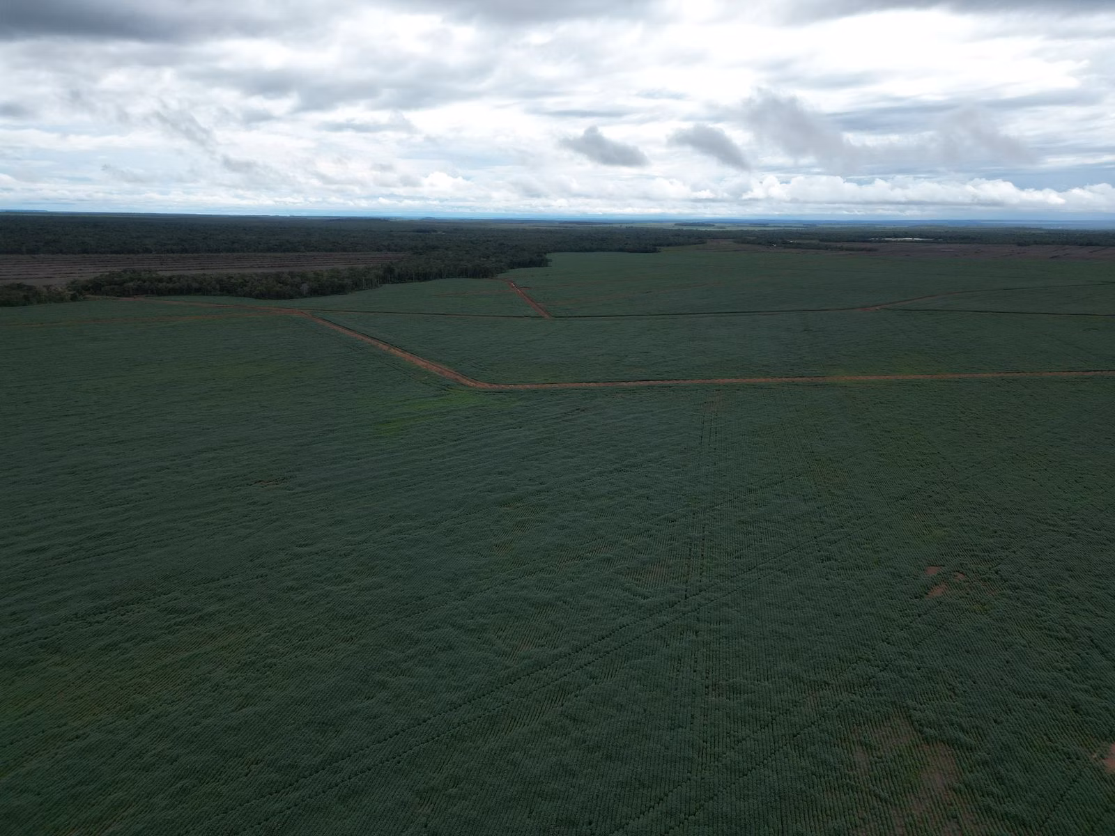 Fazenda de 4.356 ha em Pedro Afonso, TO