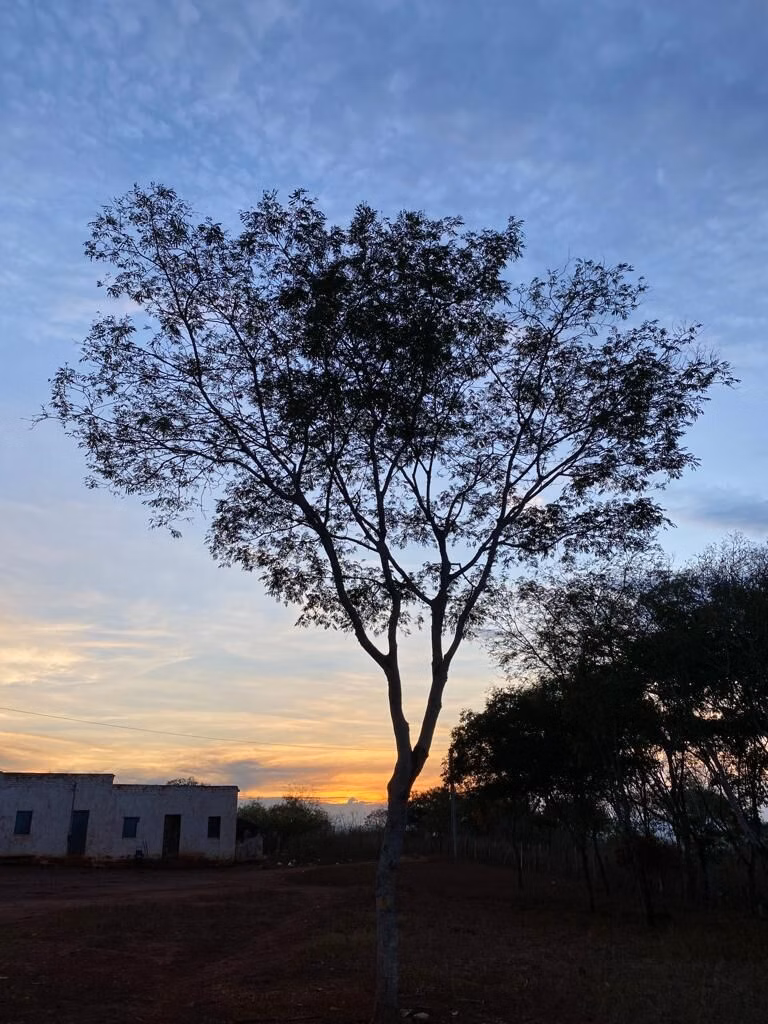 Fazenda de 560 ha em Andaraí, BA
