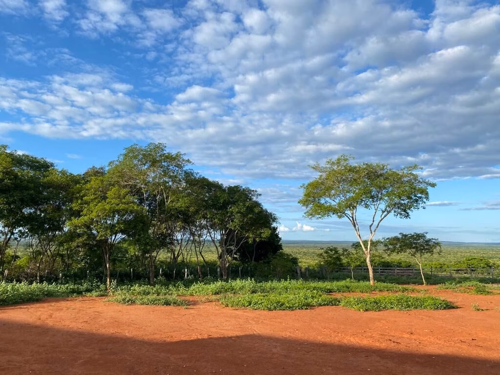 Fazenda de 560 ha em Andaraí, BA