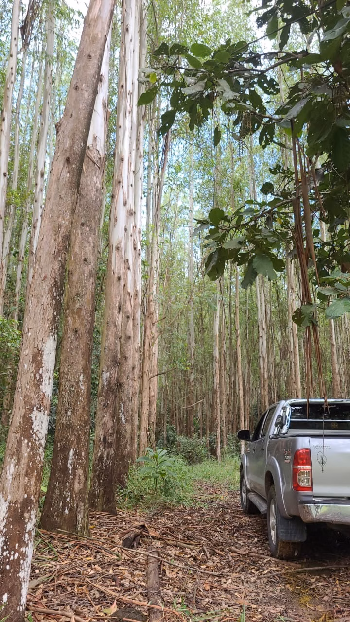 Fazenda de 585 ha em Guaratinguetá, SP