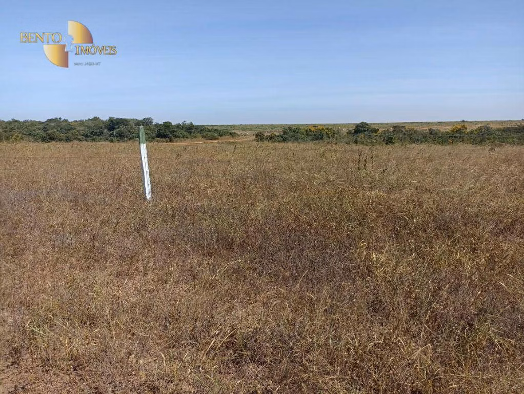 Fazenda de 2.600 ha em Paranatinga, MT