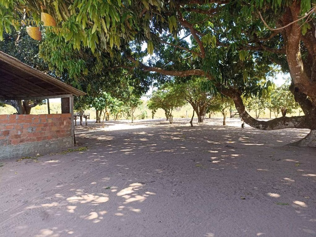 Fazenda de 2.600 ha em Paranatinga, MT