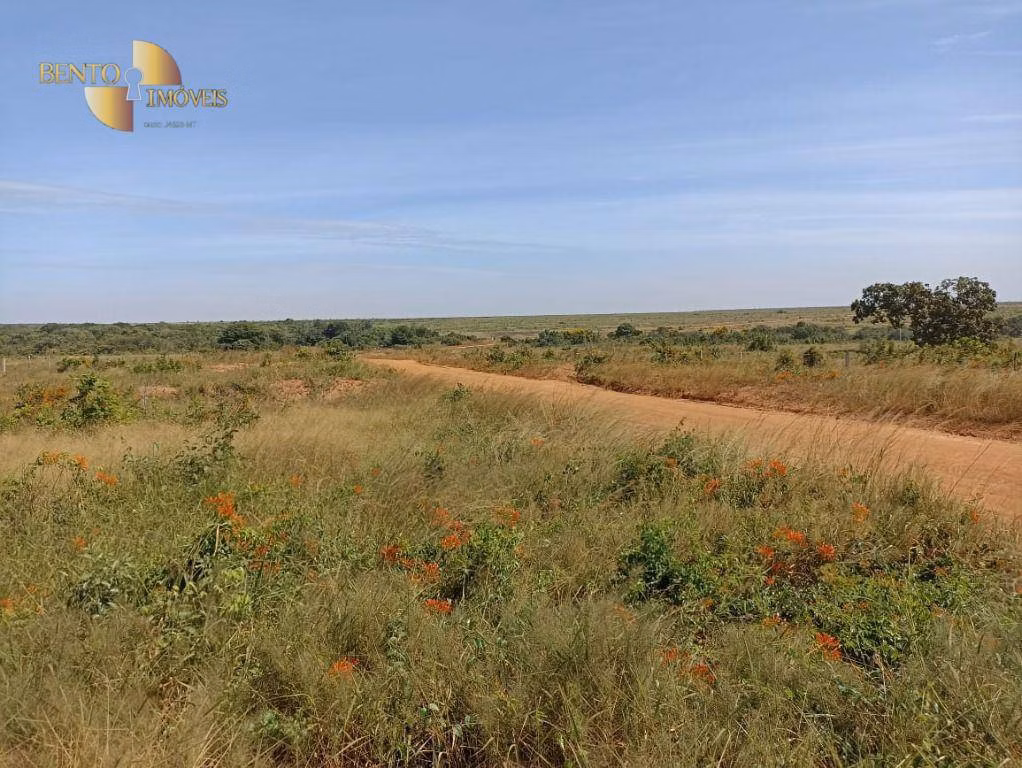 Fazenda de 2.600 ha em Paranatinga, MT