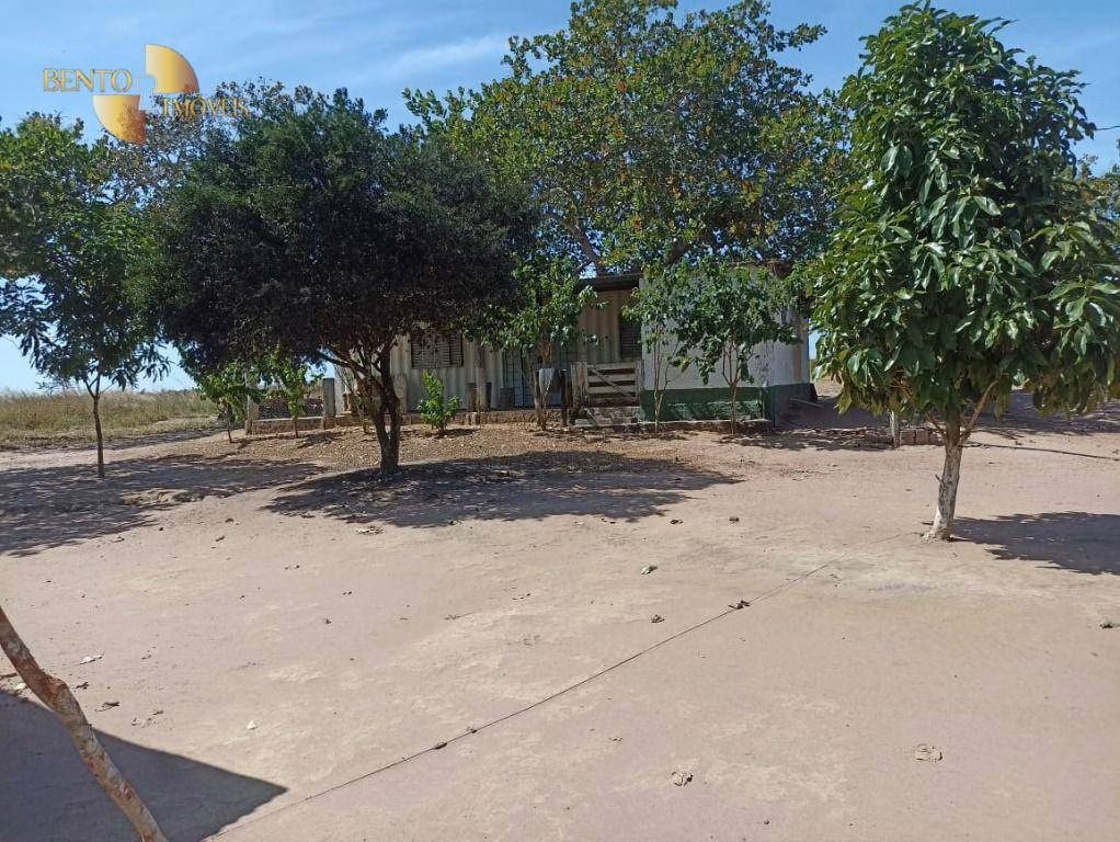 Fazenda de 2.600 ha em Paranatinga, MT