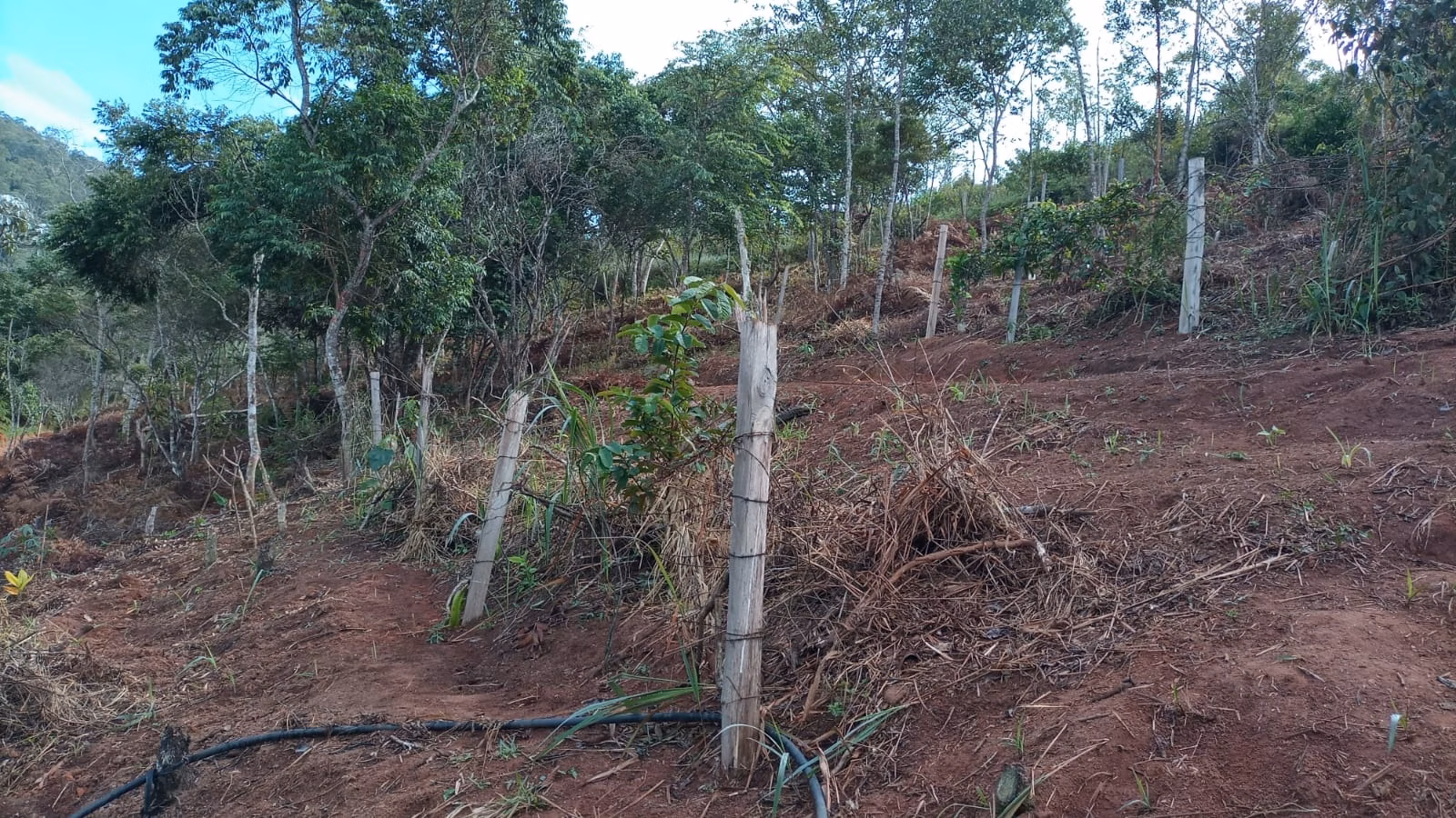 Chácara de 3 ha em Monteiro Lobato, SP
