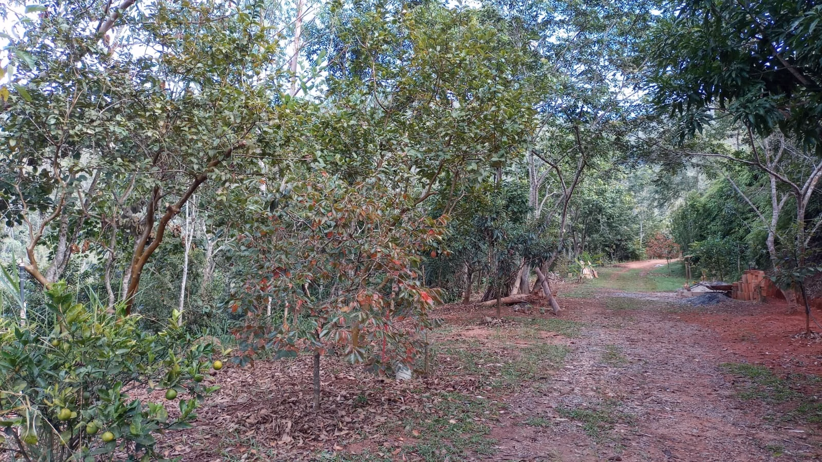 Chácara de 3 ha em Monteiro Lobato, SP
