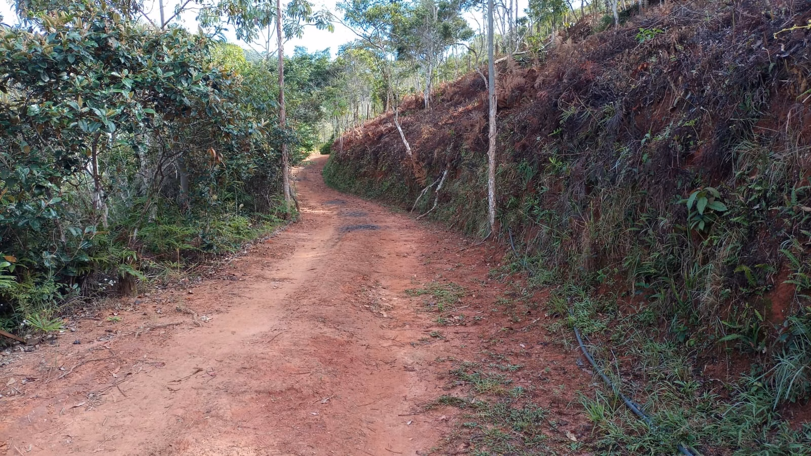 Chácara de 3 ha em Monteiro Lobato, SP