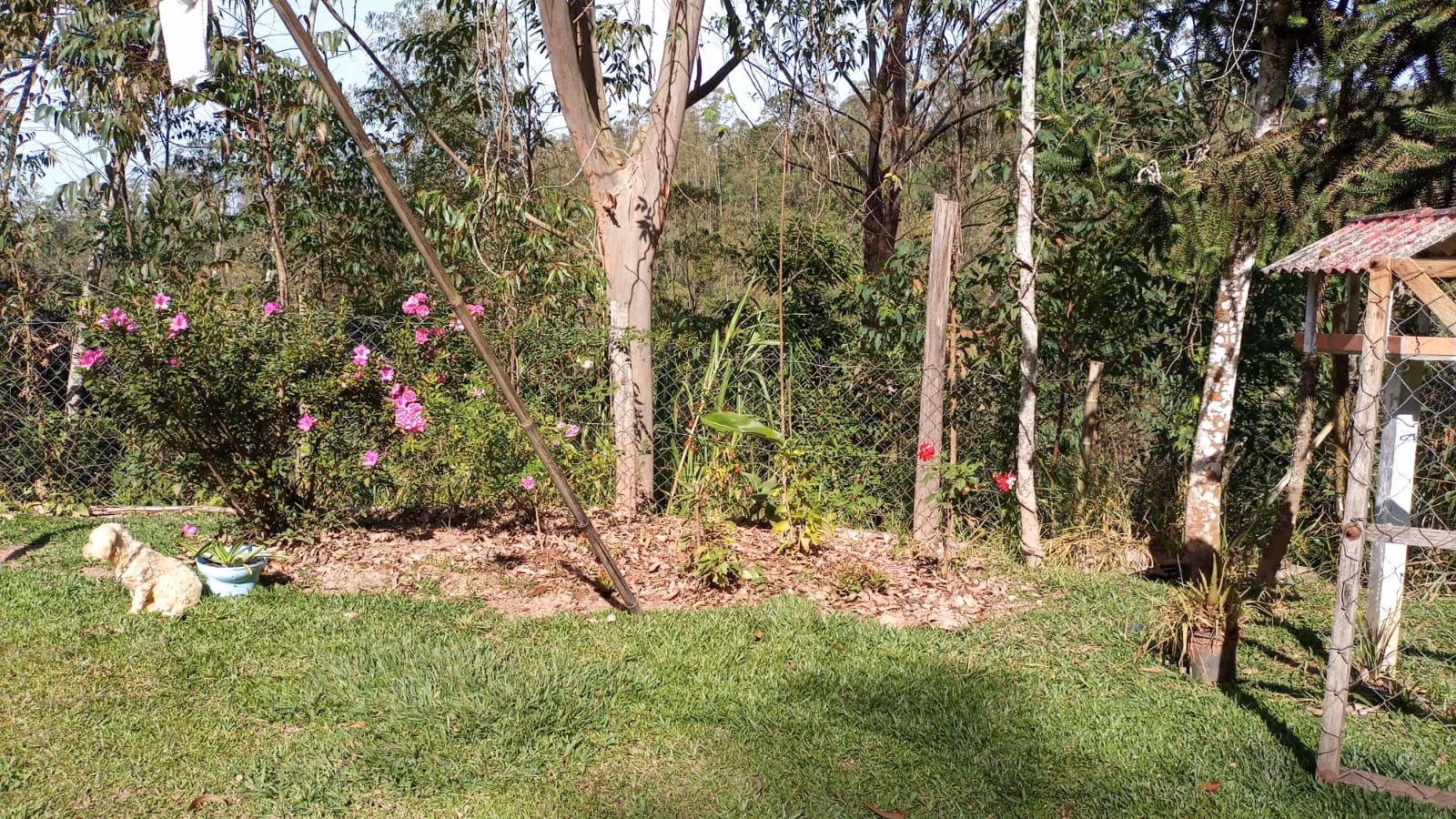 Chácara de 3 ha em Monteiro Lobato, SP