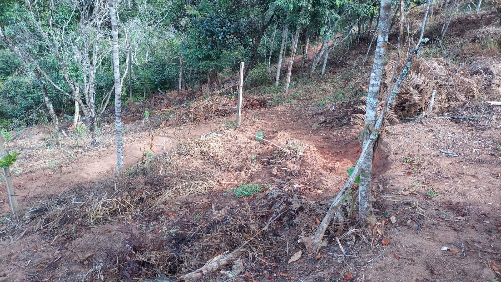 Chácara de 3 ha em Monteiro Lobato, SP