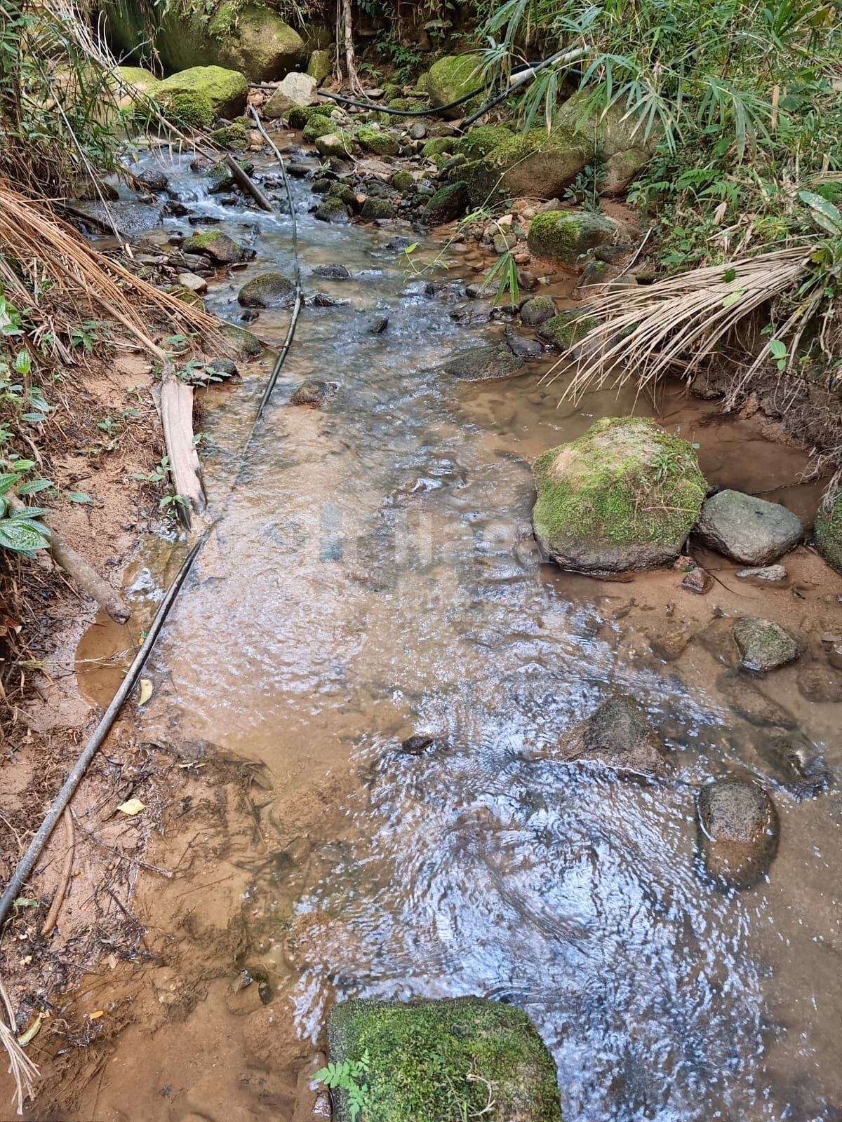 Terreno de 4.468 m² em Nova Trento, SC