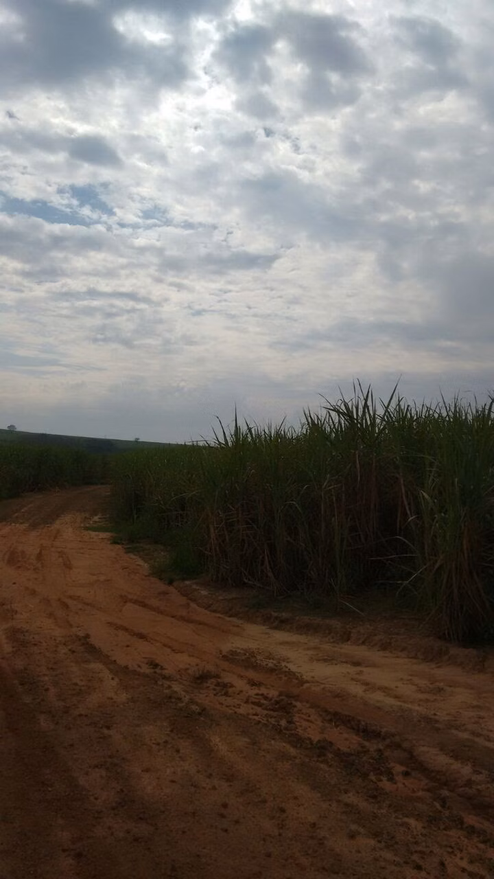 Fazenda de 3.086 ha em Presidente Prudente, SP