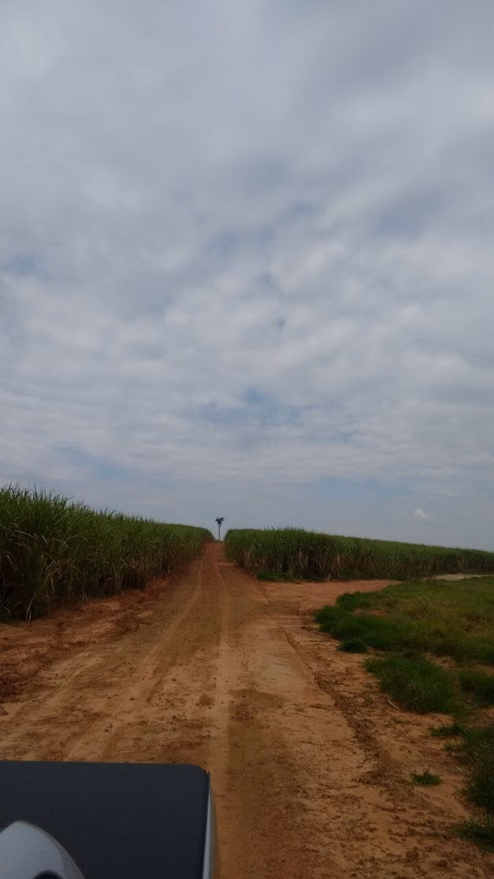 Fazenda de 3.086 ha em Presidente Prudente, SP
