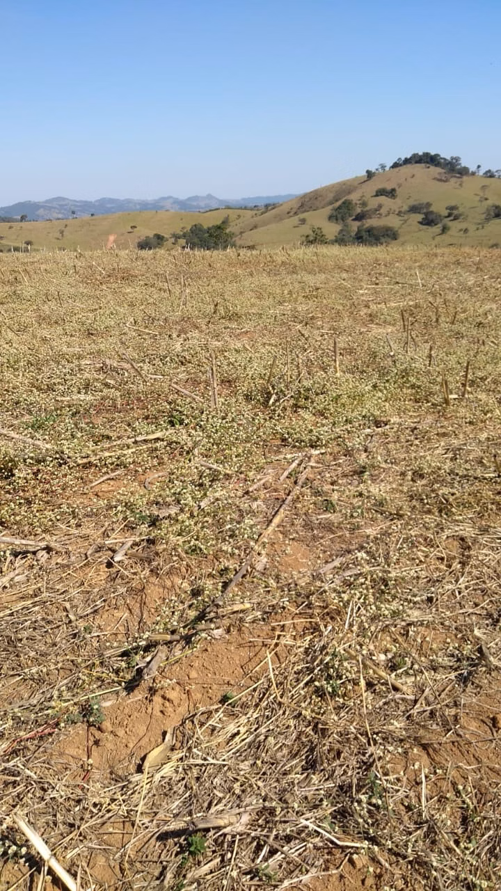 Fazenda de 232 ha em Ouro Fino, MG