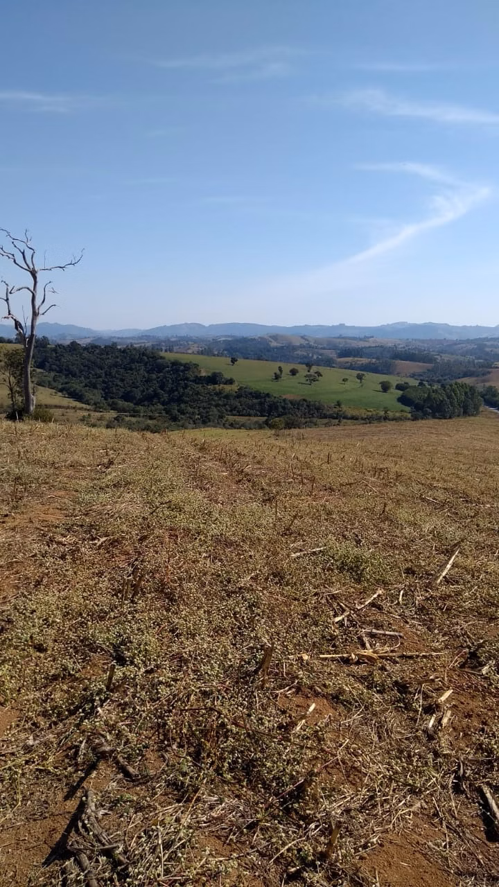 Fazenda de 232 ha em Ouro Fino, MG