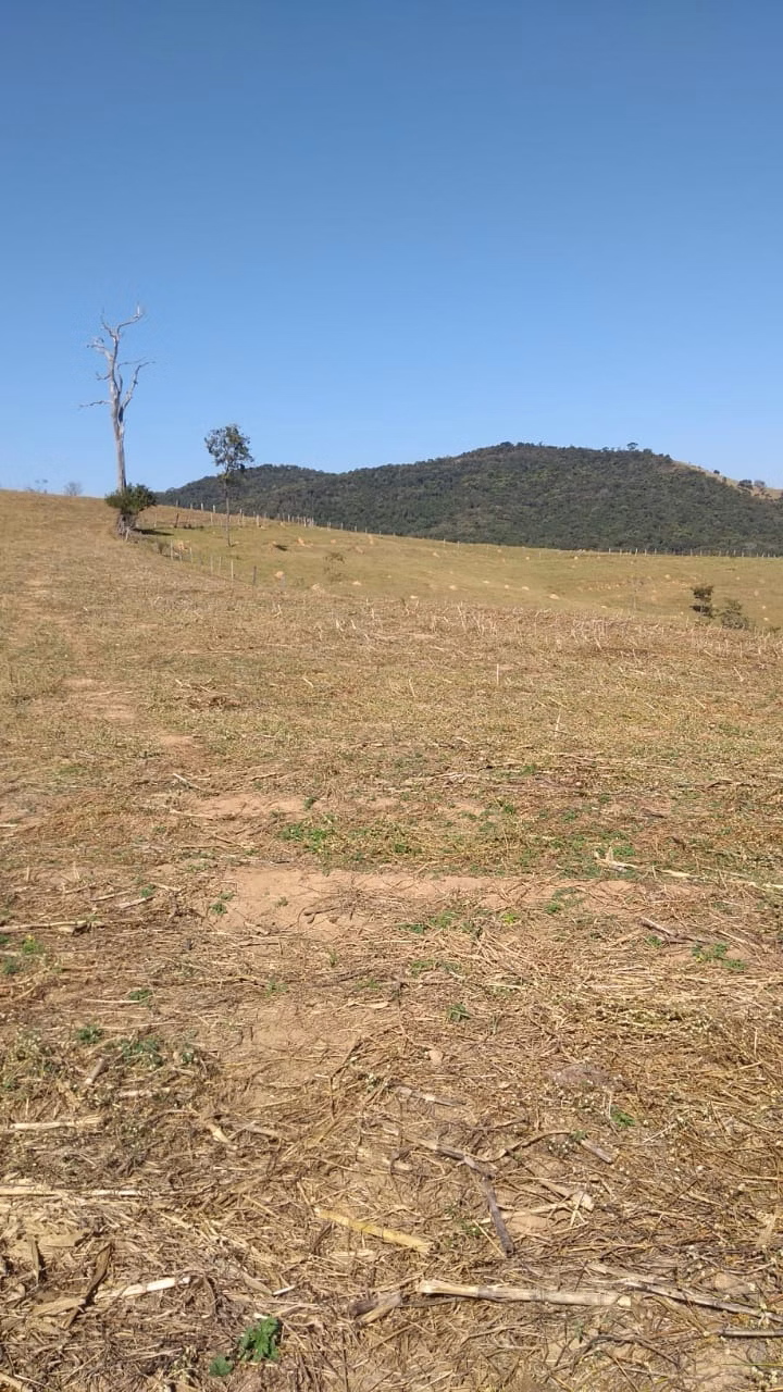 Fazenda de 232 ha em Ouro Fino, MG