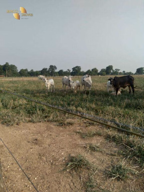 Fazenda de 41.000 ha em Poconé, MT