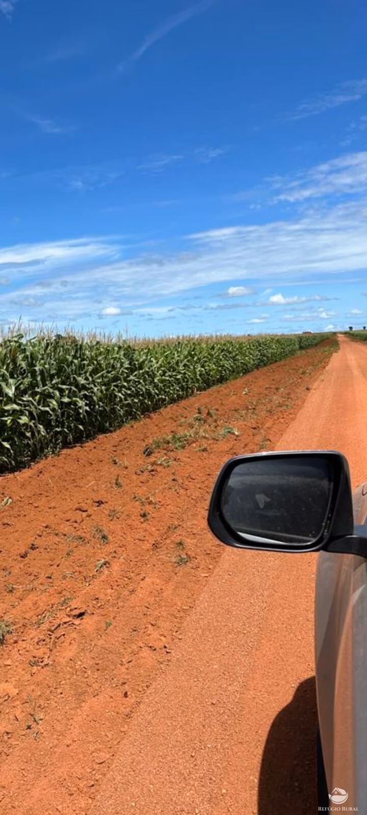 Fazenda de 17.000 ha em Feliz Natal, MT