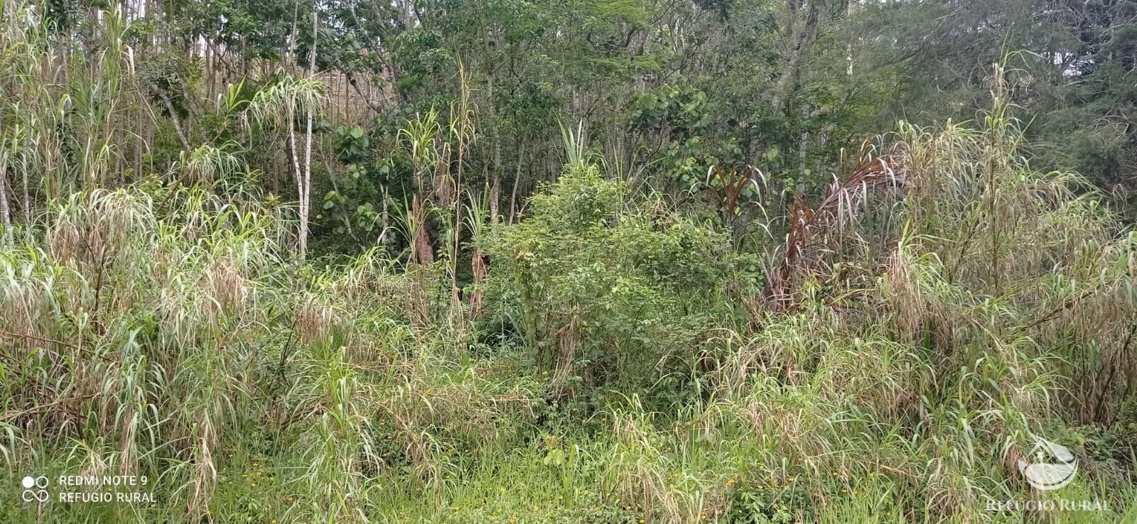 Terreno de 3 ha em Monteiro Lobato, SP