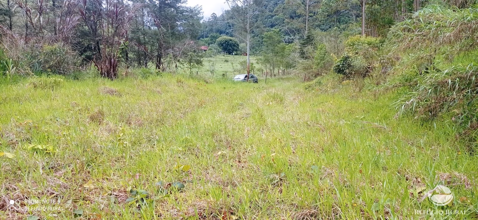 Terreno de 3 ha em Monteiro Lobato, SP