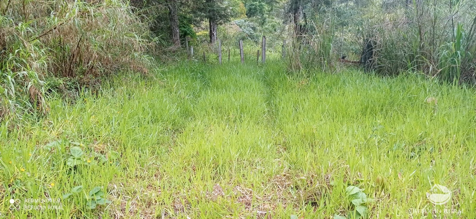 Terreno de 3 ha em Monteiro Lobato, SP