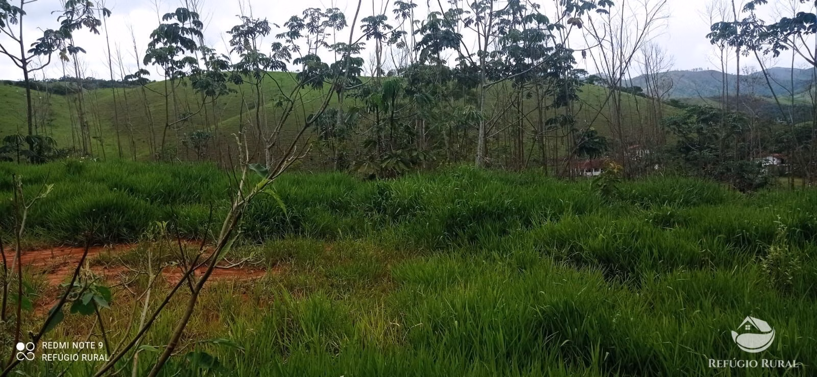 Terreno de 3 ha em Monteiro Lobato, SP