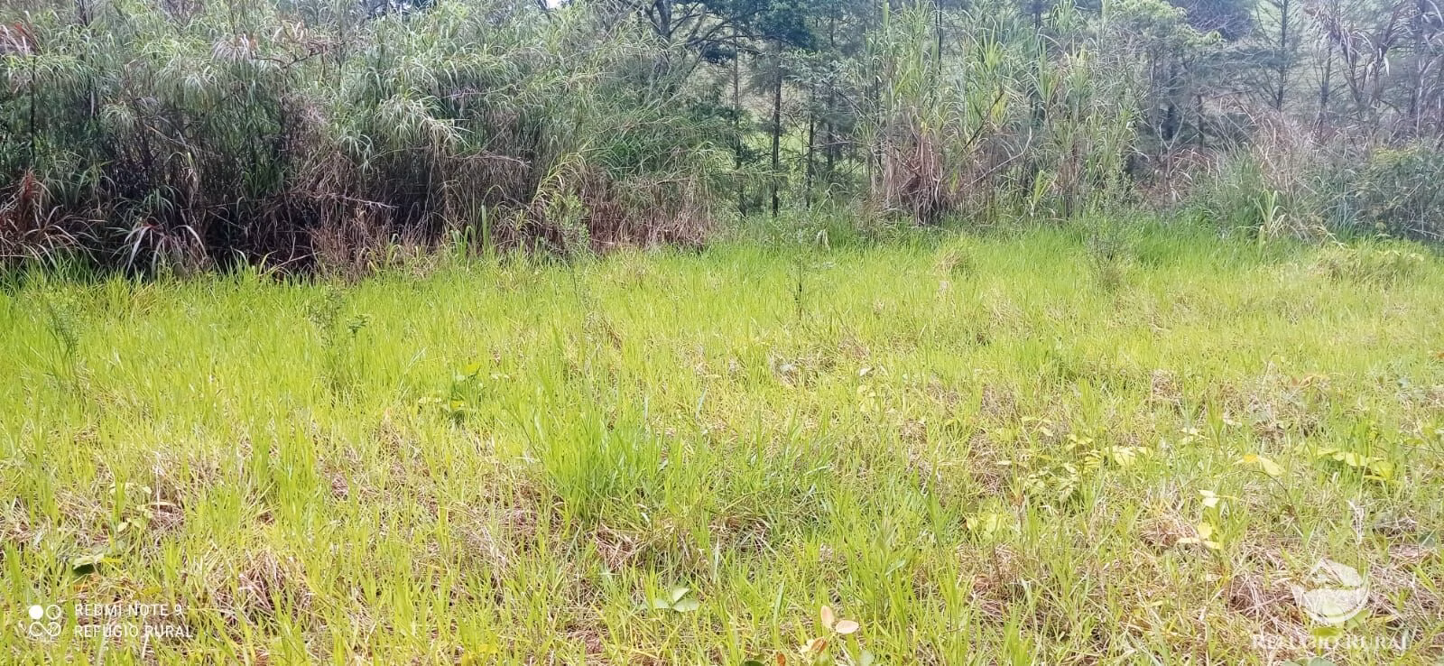 Terreno de 3 ha em Monteiro Lobato, SP