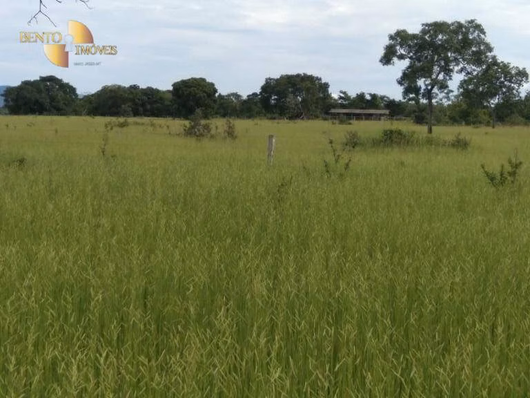 Fazenda de 976 ha em Nossa Senhora do Livramento, MT