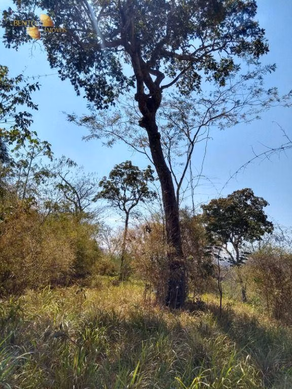 Fazenda de 976 ha em Nossa Senhora do Livramento, MT