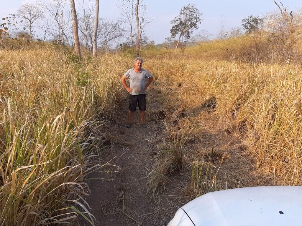 Fazenda de 976 ha em Nossa Senhora do Livramento, MT