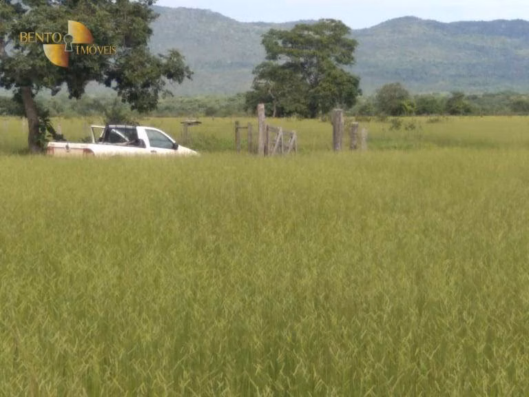 Fazenda de 976 ha em Nossa Senhora do Livramento, MT