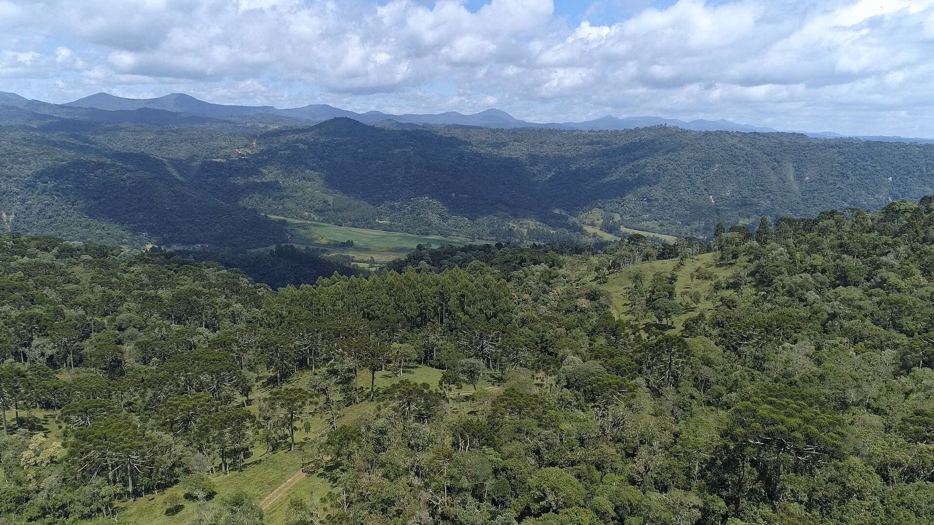 Small farm of 39 acres in Urubici, SC, Brazil