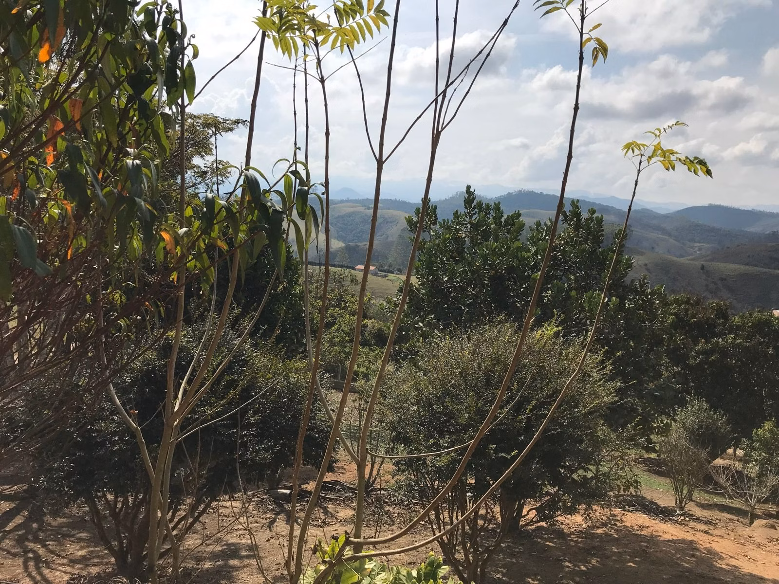 Country home of 5 acres in São José dos Campos, SP, Brazil